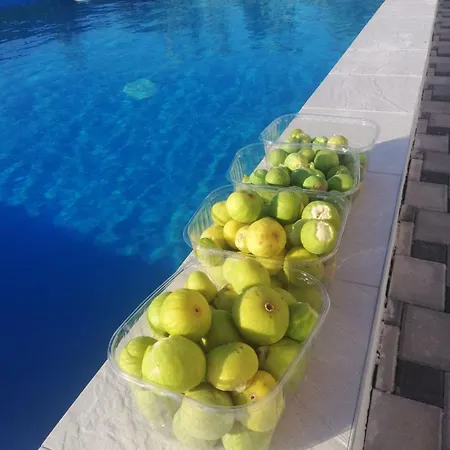 Vila Mara